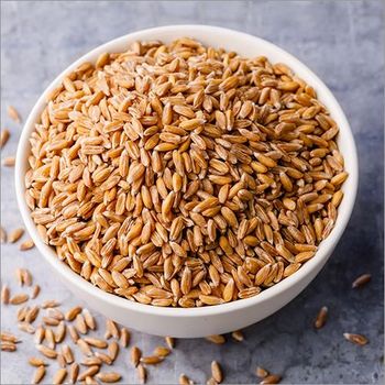 Hard Wheat Grains, Affordable High Quality, Wholesale Bulk Orders - A.C.P. AGRICULTURE COMPANY LIMITED - Thailand