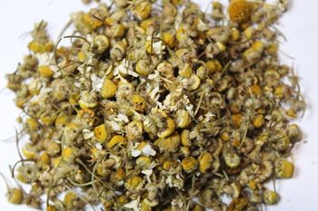 Chamomile