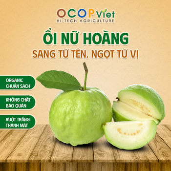Ổi nữ hoàng - Queen Guava Brand Name OCOP Viet Place of Origin Vietnam Packaging Details - OCOP VIET COMPANY LIMITED - Vietnam