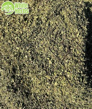 Successful local mint Flavor Refreshing Quality Level Premium Quality Growth Practice Naturally Grown Harvest Method Locally Harvested - white herbes - Egypt