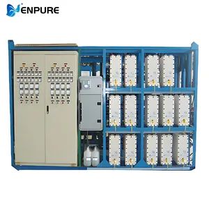 Efficient EDI Desalination Equipment for Water Purification with CE Certification - Enpure Intelligent Technology (Qingdao) Co., Ltd. - China