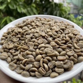 ARABICA YELLOW BOURBON GREEN BEANS HONEY Vietnamese Arabica Green Coffee Beans with 98% Maturity in New Crop 2023-2024 – product photo, Dry Yellow Beans products found from trusted suppliers, wholesalers, manufacturers & exporters Listing