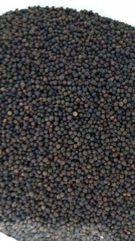Black Peppercorns from Brazil, ASTA 580/600 GL, B1 560 GL, B2 500 GL, FOB Vitória - Almaris International Trade - Brazil