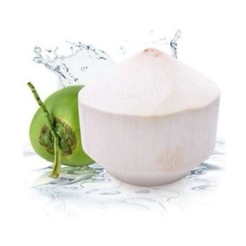 Golden Tropic Vietnamese Coconut - MT-PO - Vietnam