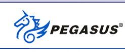 Product from Pegasus Corporation Limited Product - Pegasus Corporation Limited - China