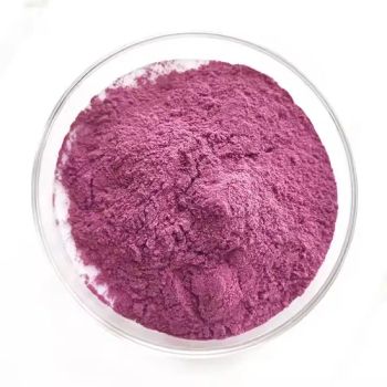 Natural Cranberry Fruit Juice Concentrate Powder Cranberry Flavour Powder - Hebei Subo Import and Export Co., Ltd - China