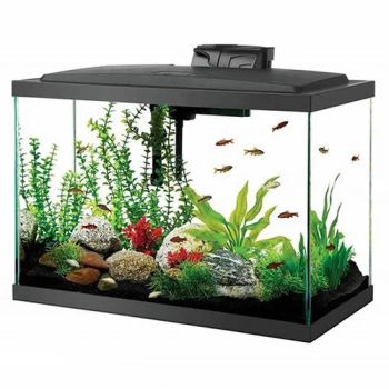 Ecological Mini Glass Aquarium Small Living Room No Water Change Round Ornamental Fish Tank - GOOD SELLER CO., LTD. - China