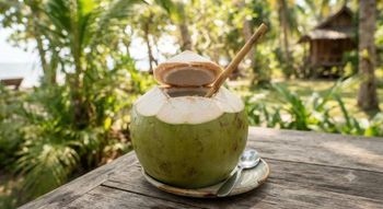 Fresh Vietnamese Coconut - Fresh Produce LN - Australia
