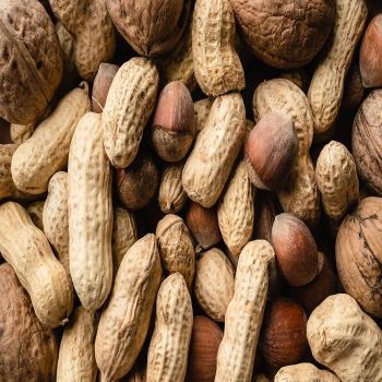 Wholesale Natural Organic First Grade Shelled Peanut Bulk Raw Peanut Sorting Peanuts Nuts & Kernels - AK.BOLO MEDIK LTD - Thailand