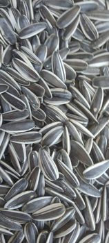 Premium quality Egyptian sunflower seeds – product photo, Top Quality Products