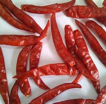 Dry chilly teja or sanam Color Red Origin India Total Weight 12000 Kg Packing Type 10 Kg Jute Bag Price Per Kilogram 2.20 Usd - Kolakaluri foundation - India