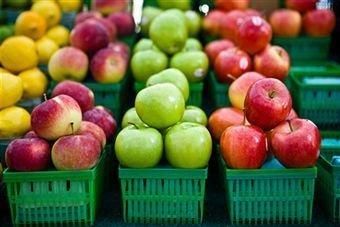 Fresh Apple Brand Name Apple Storage Type Temperature ±2°C Certification ISO9001; ISO14000; HACCP; - FIN ALAMAK  - Russian Federation