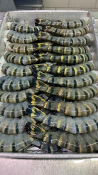 black tiger shrimps from amigoseafood co black tiger shrimps - amigoseafood co - India