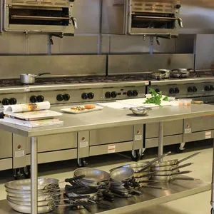 Commercial Kitchen Equipment for International Market Origin China Trademark NESE HS Code 73241000 Model NO. NESE-KE Package Gross Weight - Weifang Naisen Equipment Technology Co., Ltd - China