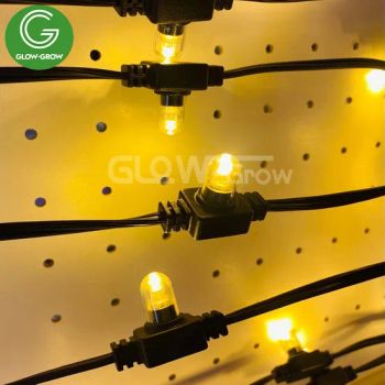 Outdoor Waterproof LED Christmas Point String Lights for Holiday Garden Tree Street Decoration - Glow-Grow Lighting Co., Ltd. - China