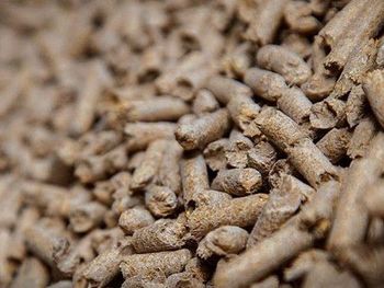 Wood Pellets 3.5mm Stick Shape BSL Approved 15kg Bags 690kg/m Density 4500J Calory Cooking Fuel France 99% Ash from Smart Agri GmbH Wood Pellets 3.5mm Stick Shape BSL Approved 15kg Bags 690kg/m Density 4500J Calory Cooking Fuel France 99% Ash - Smart Agri GmbH - Germany