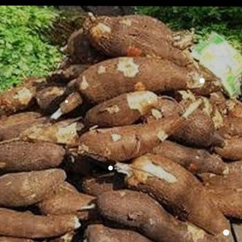 Cassava Starch - Jumons global limited - Nigeria