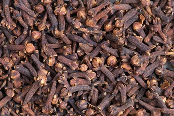 100% Natural Dried Cloves Spicy Herb Icon Export Quality Raw Processing Type Stick and Piece Pattern Dry Aged