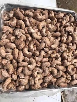 Raw Cashew Nut Product Type Nuts Grade WW240, WW320 Crop Year 2025/2026 Port Dakar, Senegal Origin Guinea-bissau Foreign Matter Max 0.5% - Afrinox Foods - United Arab Emirates