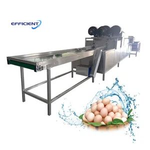 Industrial Egg Brush Cleaner Chicken Egg Clean Machine Salted Duck Egg Washing Machine - Henan Efficient Machinery CO., LTD - China