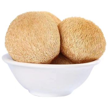Wholesale Natural Hou Tou Gu Hericium Erinaceus Lions Mane Mushroom - Hunan Nanmo Biotechnology Co., Ltd. - China