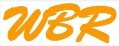 Product - Weiboer Musical Instrument Co., Ltd. - China