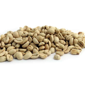India Monsooned Malabar 1 kg unroasted coffee beans - Njang Investments Limited - Kenya