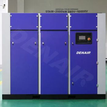 Industrial Germany Technology 900cfm Dry Oil Free Electric Direct Driven Rotary Screw Air Compressors - DENAIR ENERGY EQUIPMENT CO., LTD. - China