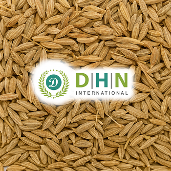 Premium Quality Cumin Seeds Exporter | DHN INTERNATIONAL | Bulk Wholesale Supplier from India - DHN international - India