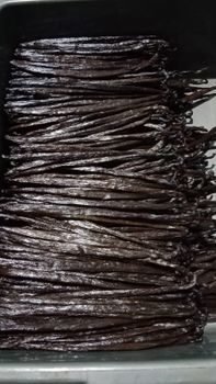 Vanilla Beans from PT VISTA EXPORT GROUP Vanilla Beans – product photo, Dried Vanilla Beans products found from trusted suppliers, wholesalers, manufacturers & exporters Listing