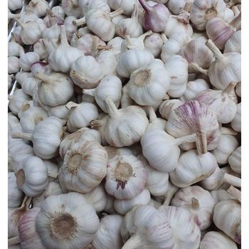 Fresh Garlic Processed And Packed To Retain Fresh Garlic Aroma And High Quality from malter group Fresh Garlic Processed And Packed To Retain Fresh Garlic Aroma And High Quality - malter group - Tanzania