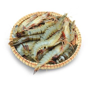 Fast Delivery Seafood Frozen Vannamei Shrimp Wholesale Available In Stock Buy The Best Selling Shrimp Product - AK.BOLO MEDIK LTD - Thailand