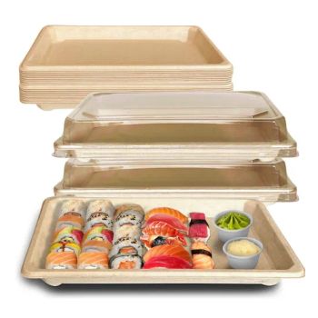Disposable Food Tray Container Friendly Sugarcane Bagasse Disposable Sushi Tray - Lt Packaging Co., Ltd. - China