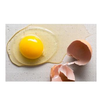 Feed Nutrition Egg Yolk Powder Yolk for Cat Food Feed Nutrition Egg Yolk Powder Yolk for Cat Food Feed Nutrition Egg Yolk Powder Yolk for Cat Food Feed Nutrition Egg Yolk Powder Yolk for Cat Food Feed Nutrition Egg Yolk Powder Yolk for Cat Food Feed Nutrition Egg Yolk Powder Yolk for Cat Food Feed Nutrition Egg Yolk Powder Yolk for Cat Food Feed Nutrition Egg Yolk Powder Yolk for Cat Food - GLOBOTO TRADE BRASIL LTDA - Brazil