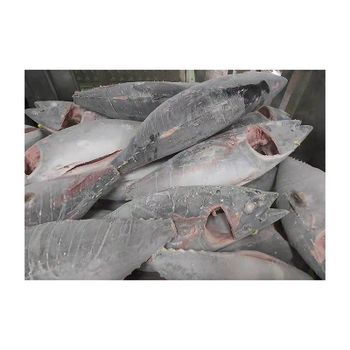 Premium quality frozen yellowfin tuna arranged for bulk buyers with fast delivery - BMU TRADING GMBH - Germany