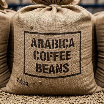 Hand Sorted Arabica Coffee Bean With Low Defect Ratio Ideal For Premium Roasting Coffee Bean Demand - AGRO AFRIQUE COMPANY LIMITED - Tanzania