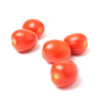 Tomato paste available for bulk export in cans and sachets - Mundus Exports Pty Ltd - South Africa
