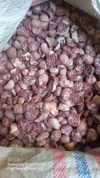 トップス ENNOY Crew Sweat Set Up \