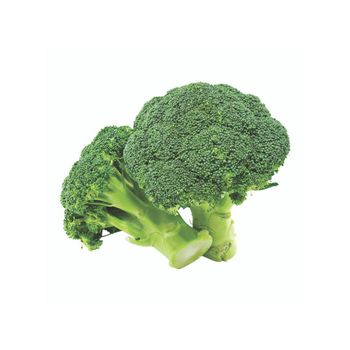 Premium Quality 100% Exportable Fresh Vegetables Newly Cultivated Crop Fresh Broccoli Harvested From Bangladeshi Suppliers 2023 - BEST TRADE CORPORATION - Bangladesh