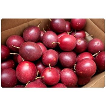 Top Factory Passion Fruit From Vietnam For Export Fresh Fruit With Carton Box Cheap Price - MIGHTY ASIA COMPANY LIMITED - Vietnam