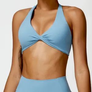 Shaping Push-up Sports Bra Set Multi-Scenario Yoga Training Sports Bra Quick-Dry Sport Clothes Stylish Fitness Wear - Shenzhen Energy Pig Supply Chain Management Co., Ltd. - China