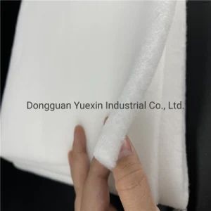 Singed Polyester Felt Filter Media Fabric Sheet 1 Micron Style Drum Color White Pattern Dyed Size 600*400mm Model NO. - Dongguan Yuexin Industrial Co., Ltd. - China