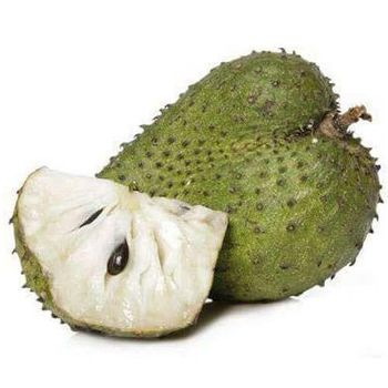 PREMIUM FRUIT FRESH SOURSOP FRUIT FOR SALE MARY Grade A Style Fresh Type soursop Weight (kg) 1.5 Size 20 - 25cm/pc Brand Name - VIET D.E.L.T.A INDUSTRIAL CO., LTD - Vietnam