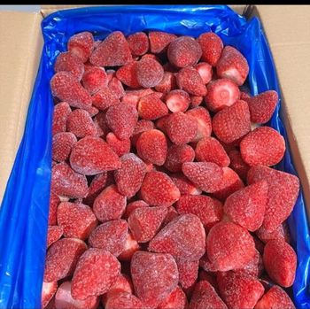 frozen fruits Features No Preservatives Fruit Type Mango, Strawberry Traceability From Farm To Shipment Freezing Process Controlled Freezing - frozex group company - Egypt
