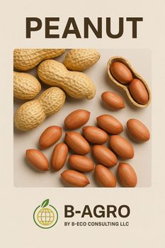 Peanuts from B-Eco Consulting LLC Peanuts - B-Eco Consulting LLC - United States