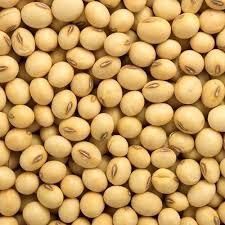 Soybeans - Chezlynne Trading (Pty) Ltd  - South Africa