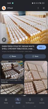 Eggs Color White Animal Species Chicken, Chickens - Tilak.b - India