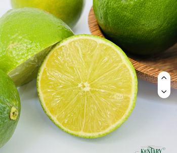 Rich Aroma Bulk Farm Supply Premium Citrus Green Lemons 100% Fresh Seedless For Cooking and Juicing  KZ - AZU EMOBILITY LLC - Canada