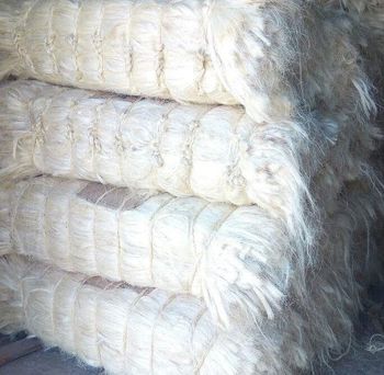 Premium Natural Sisal Fiber for Ropes and Twines, High-Strength & Durable - HELBER AGRO PRODUCT COMPANY LTD - Kenya