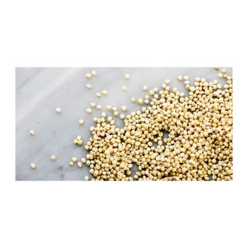 Wholesale sorghum grains bulk supply ready for global export - MASI TRADING GMBH - Germany